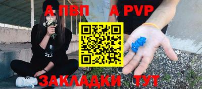 прущие грибы Тула