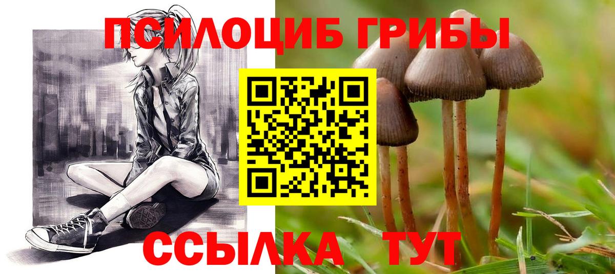 Галлюциногенные грибы мицелий Медногорск